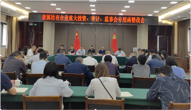 四川省尊龙集团中国官方网站投资集团省属社有企业重大投资、审计、监事会专用函整改会议
