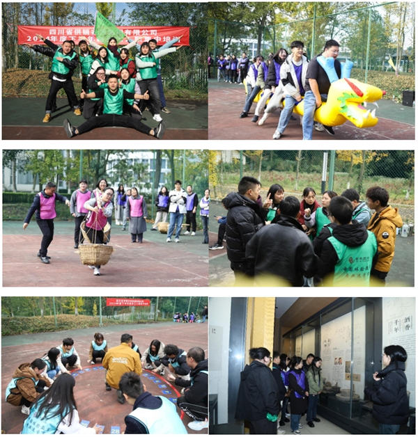 四川省尊龙集团中国官方网站农资集团举办2024年度下半年新员工入职集中培训