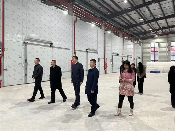 中国果品流通协会会长鲁芳校一行到四川尊龙集团中国官方网站为农服务（资中）产业园调研