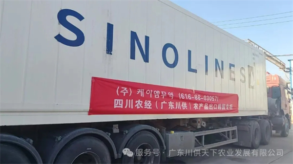 新年首单开门红，外贸业务启新程--广东川供天下对韩出口业务创佳绩